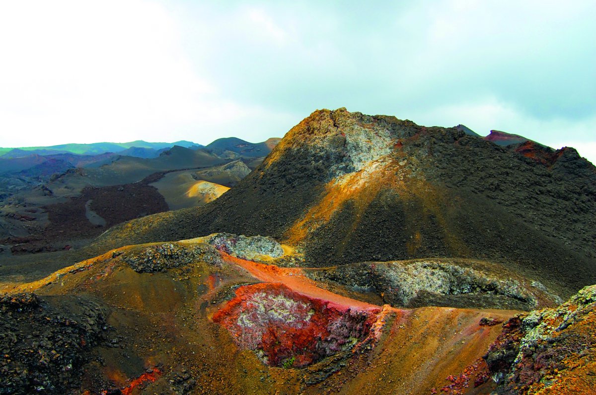 Ecuador & Galapagos: Sternstunden mit Amazonas